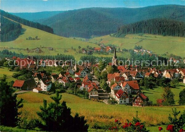 Baiersbronn Schwarzwald Panorama