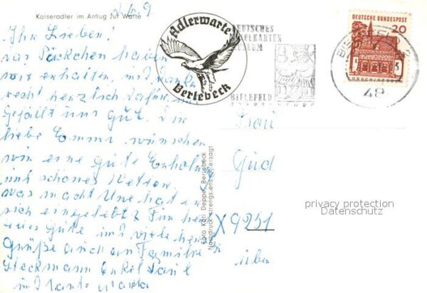 Berlebeck Adlerwarte Kaiseradler im Anflug – Bild 2