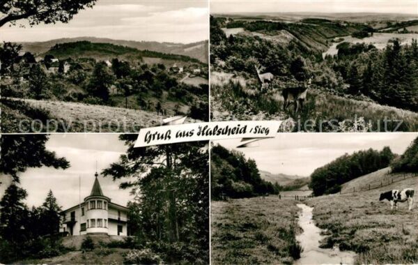 Halscheid