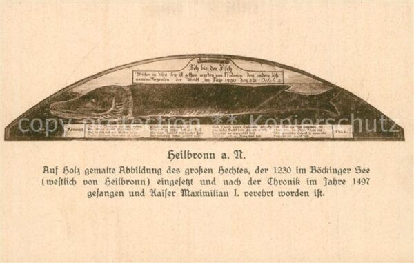 Heilbronn Neckar Hecht auf Holz gemalt