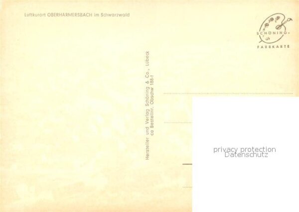 Oberharmersbach Fliegeraufnahme – Bild 2