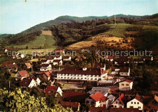 Durbach Winzergenossenschaft Panorama