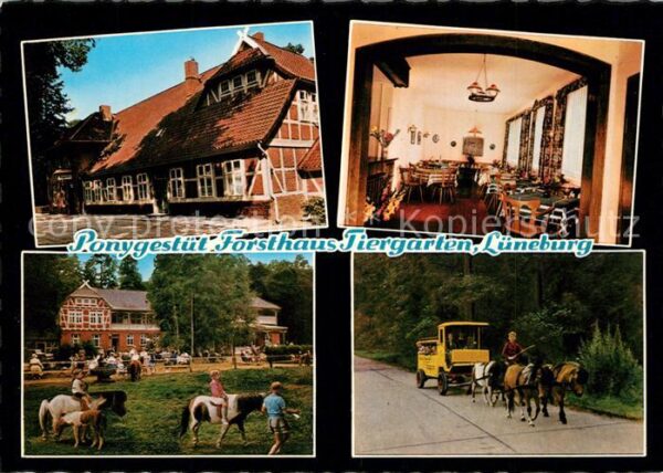 Lueneburg Ponygestuet Forsthaus Tiergarten