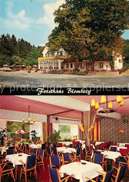 Blomberg Lippe Forsthaus Blomberg