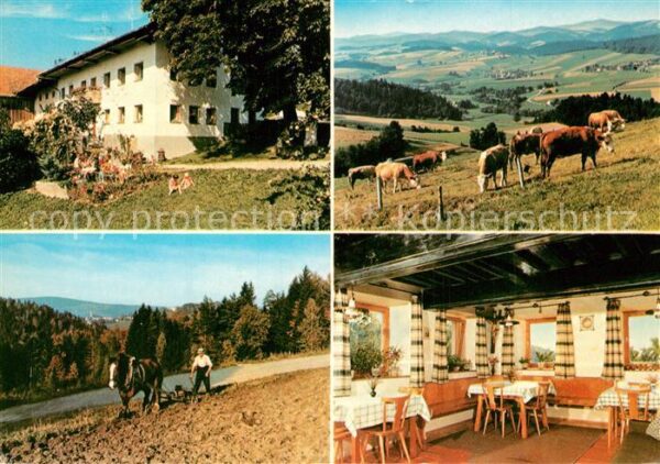 Waldkirchen Niederbayern Gasthof Pension Schaetzl