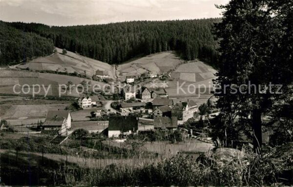 Enzkloesterle Gasthof Pension zum Enzursprung