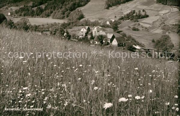 Reinerzau Panorama