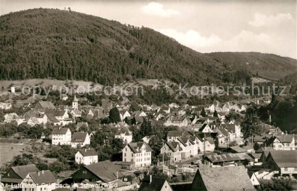Calmbach Enz Panorama