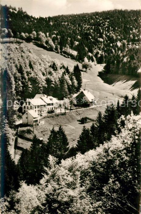 Haeg-Ehrsberg Gasthaus Pension Zum Forsthof