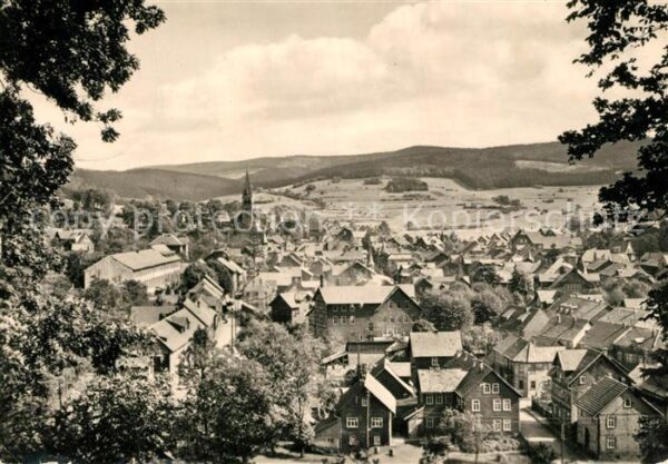 Brotterode Panorama