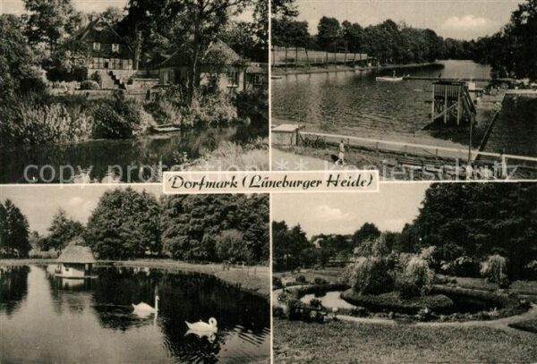 Dorfmark Schwimmbad Schwaene