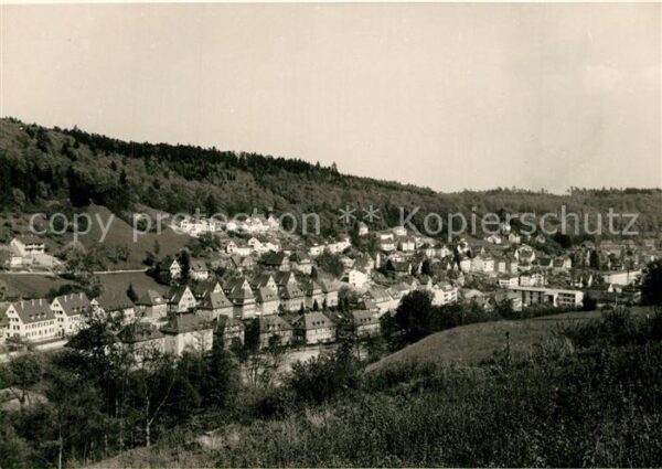 Waldshut-Tiengen Ortsansicht