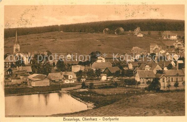 Braunlage Oberharz Dorfpartie am Teich