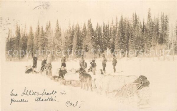 Wrangell Alaska Hundeschlitten