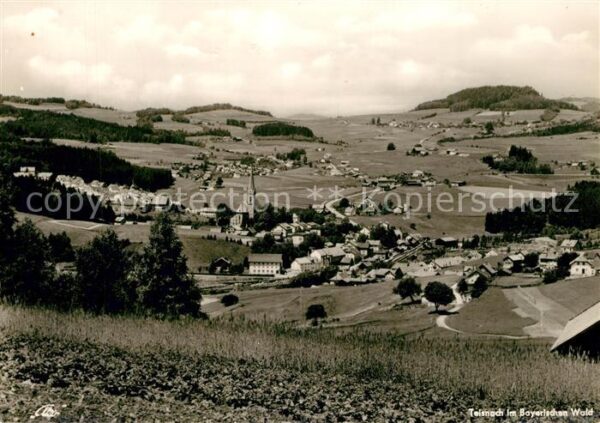Teisnach Panorama