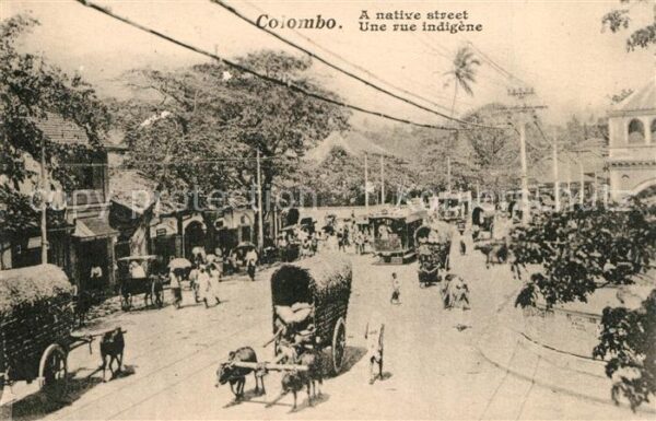 Colombo Ceylon Sri Lanka Une rue indigene