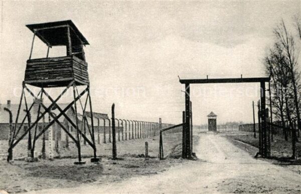 Birkenau Brzezinka Weg zwischen zwei Lagerabschnitten