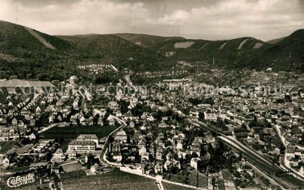 Neustadt Weinstrasse Fliegeraufnahme
