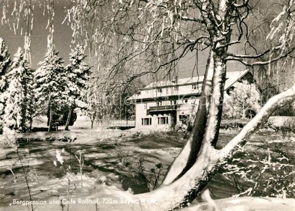 Geigant Bergpension-Cafe Rosshof