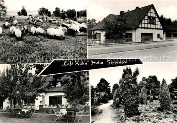 Holm-Seppensen Cafe K?hn Schafe