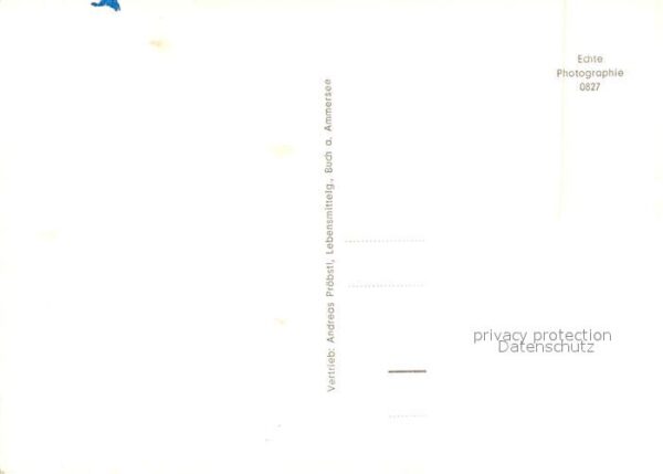 Buch Ammersee – Bild 2
