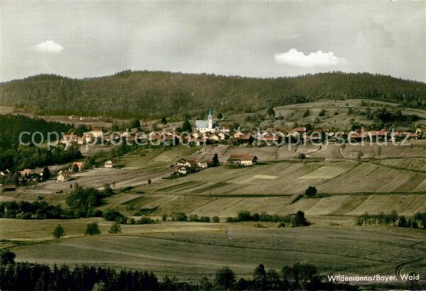Wildenranna