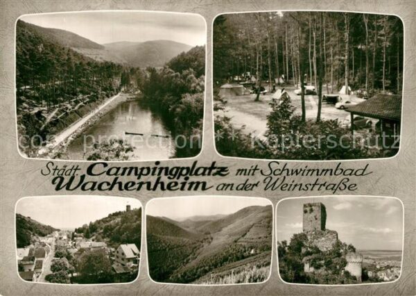 Wachenheim Weinstrasse Campingplatz Schwimmbad