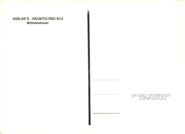 L?we Hunde Vidlak's Raubtierschau Wilhelmshaven – Bild 2