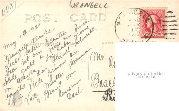 Wrangell Alaska erlegter Elch – Bild 2