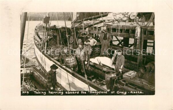 Craig Alaska Taking Herring aboard the Hedgeland