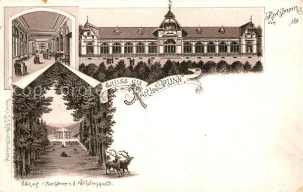 Karlsbrunn Tschechien Bad Blick von der Wilhelmsquelle