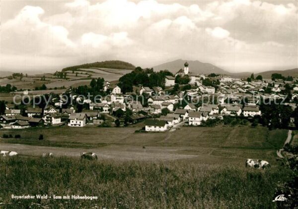 Lam Oberpfalz Panorama mit Hohenbogen Bayerischer Wald