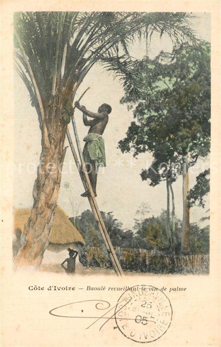 Cote d Ivoire Kongo Baoule recueillant de vin de palme