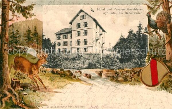 Badenweiler Hotel Hochblauen