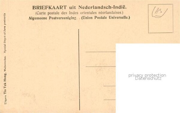 Indien Nederlandsch Indie Preanger Cacao pelsters – Bild 2