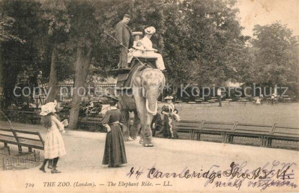 London Zoo the Elephant Ride