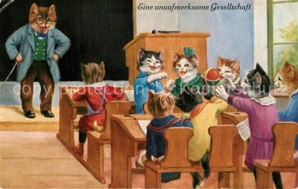 Luebeck Katzenschule Eine unaufmerksame Gesellschaft