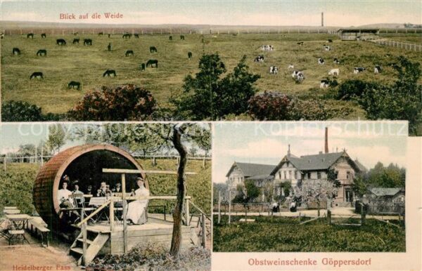 Goeppersdorf Burgstaedt Viehweide Heidelberger Fass Obstweinschaenke