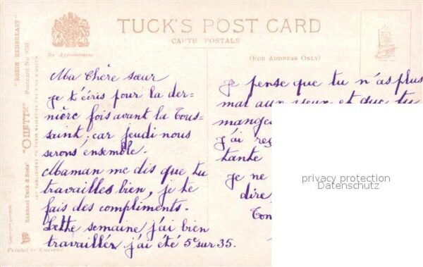 V?gel Rotkehlchen Robin redbreast Verlag-Tucks-Nr. 9788 – Bild 2