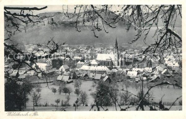 Waldkirch Breisgau Ansicht vom Waldrand aus