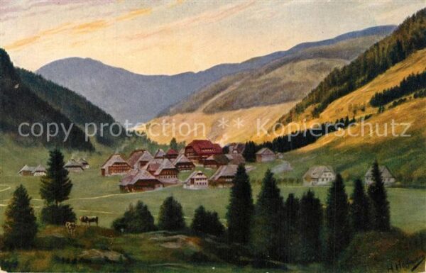 Menzenschwand Panorama