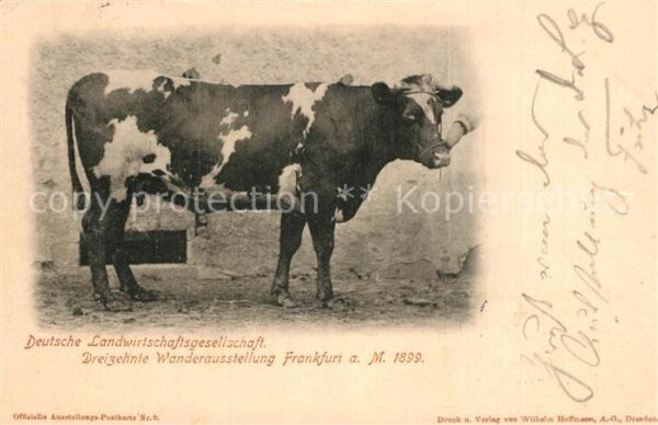 K?he Deutsche Landwirtschaftsgesellschaft Wanderausstellung Frankfurt