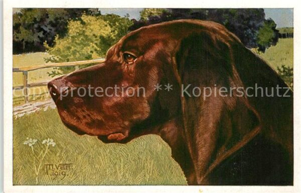 Hunde K?nstler M. Veit