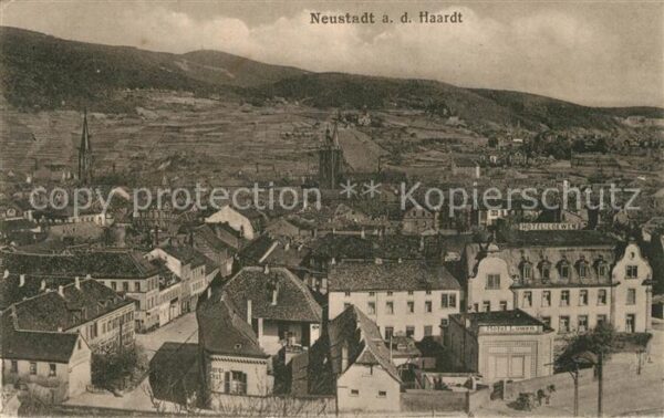 Neustadt Haardt Panorama