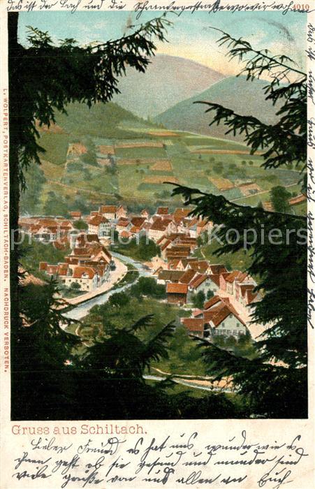 Schiltach Panorama