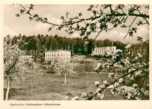 Volkertshausen Vegetarisches Erholungsheim Samariter-Schwestern e.V. Baumbluete