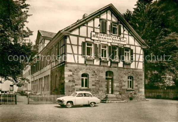 Ilfeld Suedharz Waldhotel Gaenseschnabel