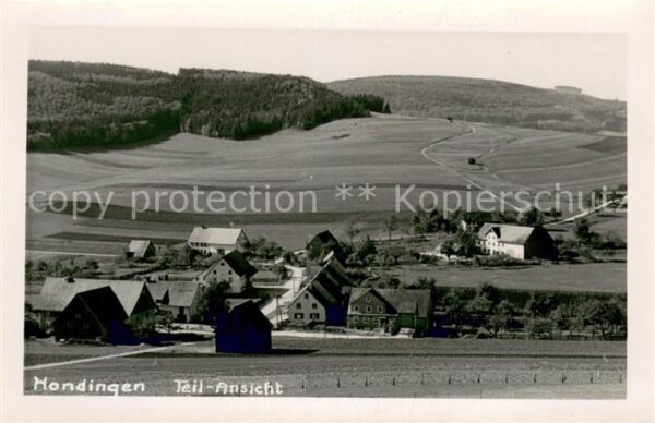 Hondingen