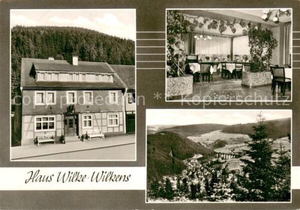 Willingen Sauerland Haus Wilke Wilkens Gastraum Panorama