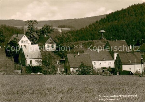 Schwarzenstein Wald mit Schwamma